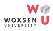 Woxsen University logo