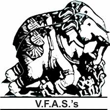 Vijaya College of Fine Arts logo