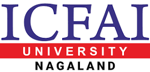 ICFAI University, Nagaland logo