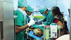 Kerala Veterinary and Animal Sciences University, Pookode | Fees,  Placements, Courses, Eligibility, Admission