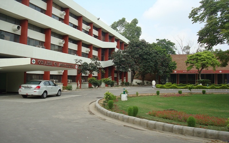 Top Engineering Colleges in Haryana List of Engineering Colleges